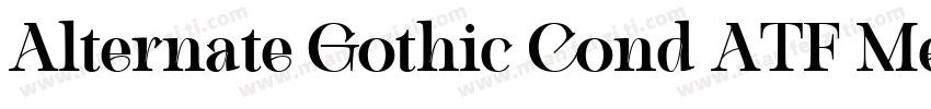 Alternate Gothic Cond ATF Medium字体转换